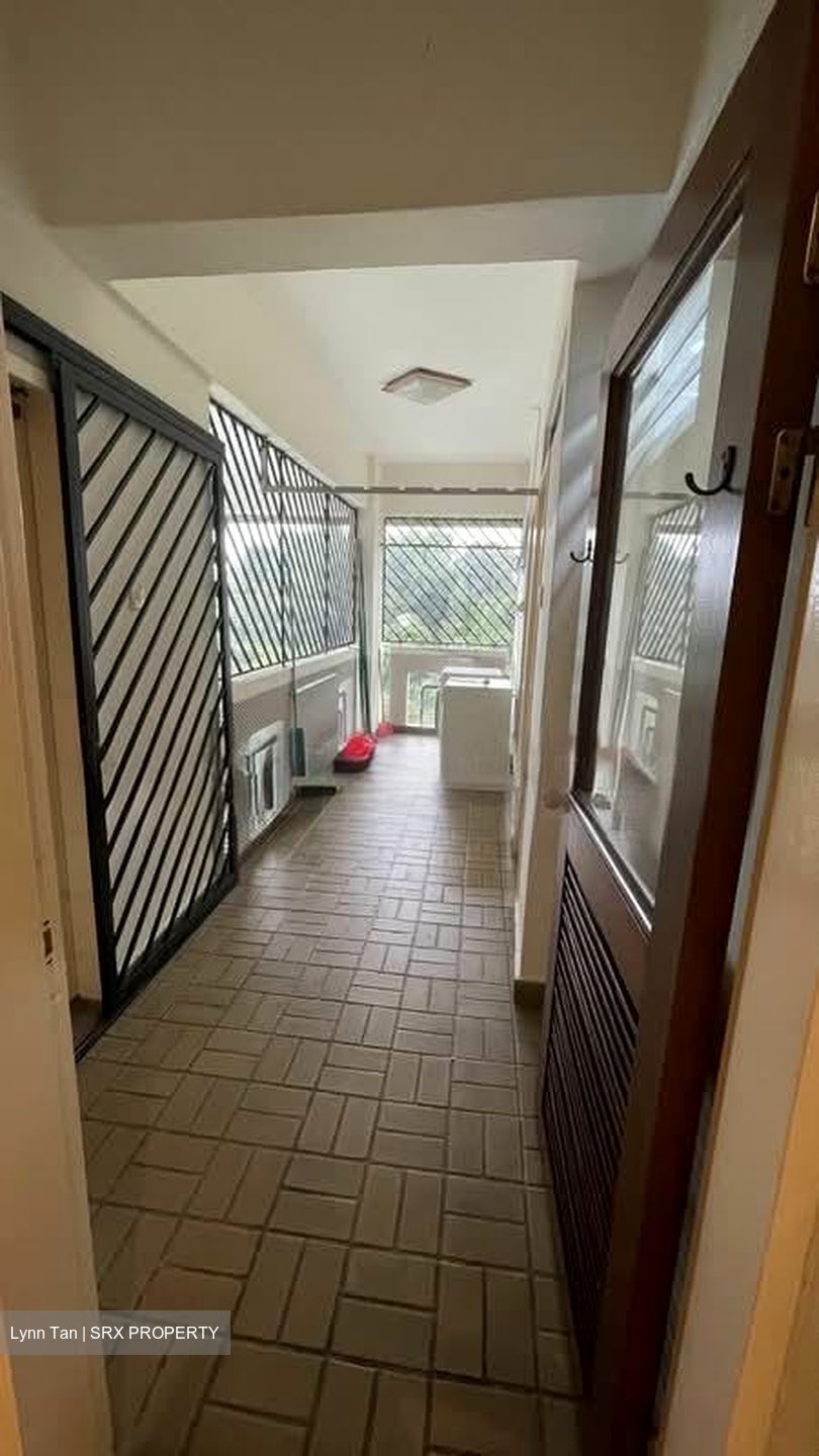 Clementi Park (D21), Condominium #566330391